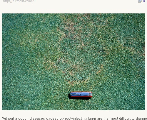 2009-01-23 16;37;44.jpg