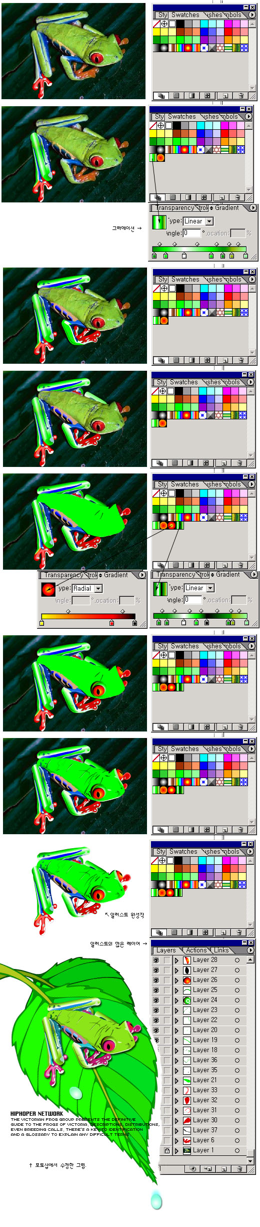 20030409_nzeo_frog.jpg